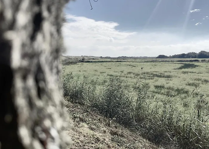 Wiltsangh 度假居 *